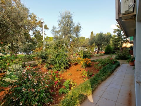 Apartment 1389 Apartment in Fažana