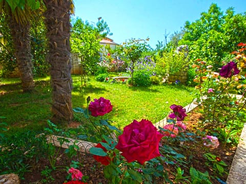 Apartment 959 Apartment in Fažana