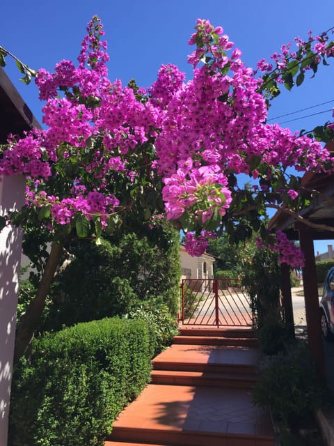 Apartment 2083 Apartment in Premantura