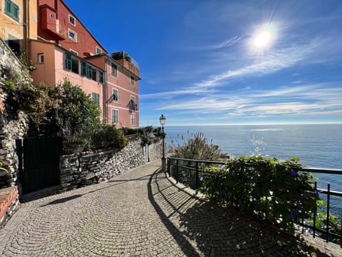 'La Dedina Apartment in Liguria