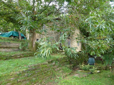 mit Blick auf das Wasser Vacation rental in Province of Massa and Carrara