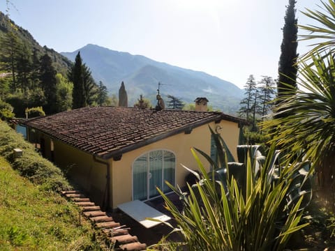 Donagrande Vacation rental in Camaiore