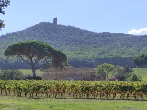 Toskana151 Vacation rental in Viareggio