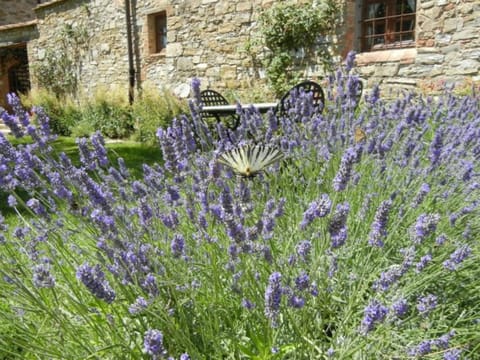 Apartment Lavanda 1 mit Veranda Apartment in Castellina in Chianti