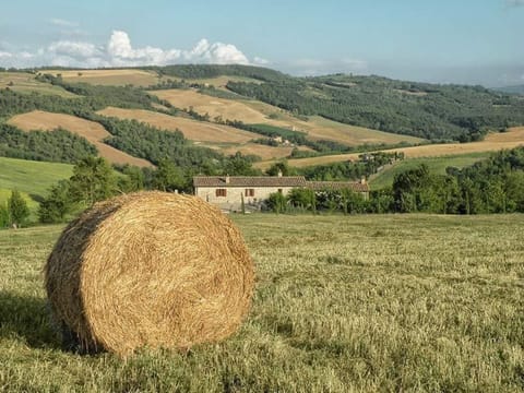 Il Mandorlo für 8 Personen Apartment in Umbria