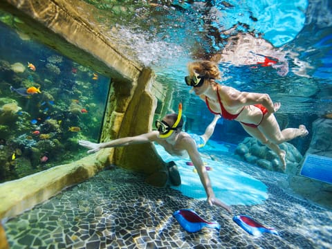 Pool Indoor