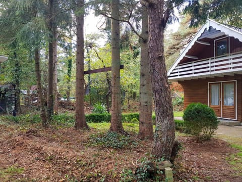 Oosterduinen Chalet in Drenthe (province)