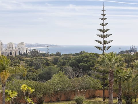 Monte Do Olival Villa in Porches