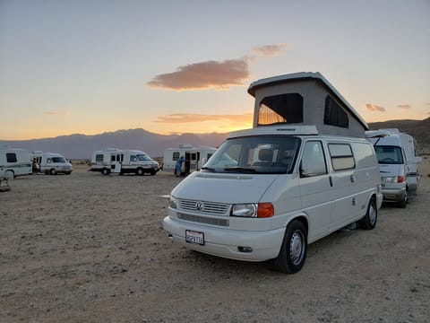 Camping with friends in Anza Borrego