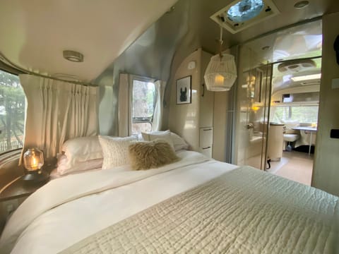 Full Streaming Service; "LaPaz" 25' Airstream International Serenity Remorque tractable in Winters