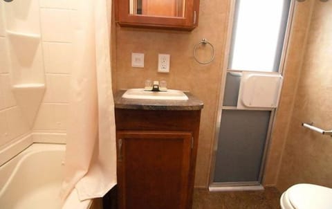 Bathroom (stock photo). Pictured are the shower and tub, vanity with sink, mirrored medicine cabinet, toilet, and door to the outside.