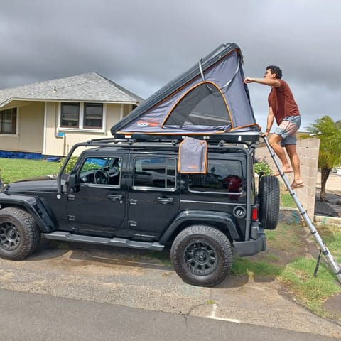 This the NEW Jeep Wrangler Sahara Model With Brand New additional Exterior Roll cage and Roof Rack system and Brand New RoofNest Camper top. Upgraded Pro comp rims and tires and stereo with Factory Sub built in.
 