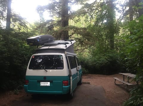 Westfalia "Westy" Pop-Top Camper Van; MSP Campervan in Edina