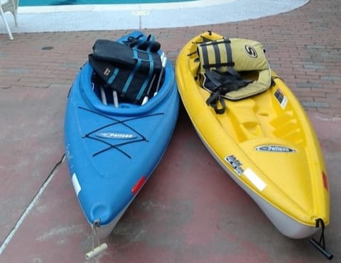 Kayaks, paddles and life jackets available for rent if you have an approved way to trans port.