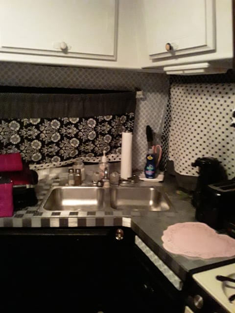 Kitchenette with double sink