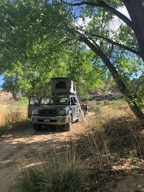 Roof Nest Eagle Roof top tent Roofnest Autocaravana in Longmont