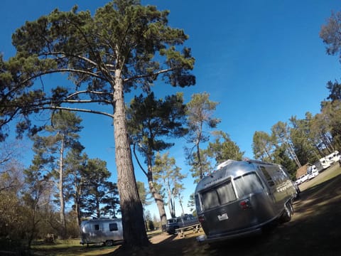 “The Spaceship” 2019 Airstream Flying Cloud Remorque tractable in Fairfield