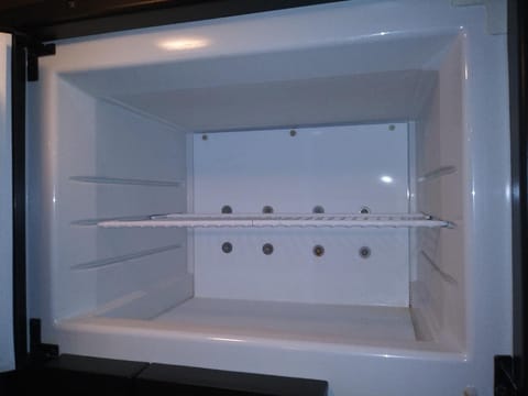 Inside freezer compartment holds plenty of frozen meals, ice cream and ice cubes.