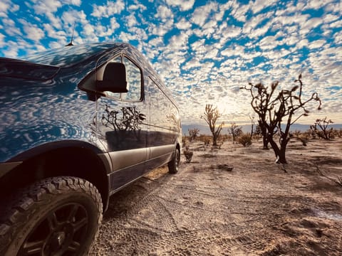 2019 Mercedes-Benz 4x4 Sprinter Cedar Cab Drivable vehicle in Lakewood