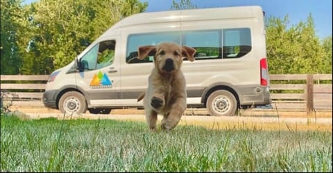 We love those doggos