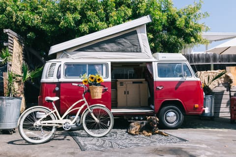 "ALBIE" Volkswagen Campervan in Costa Mesa