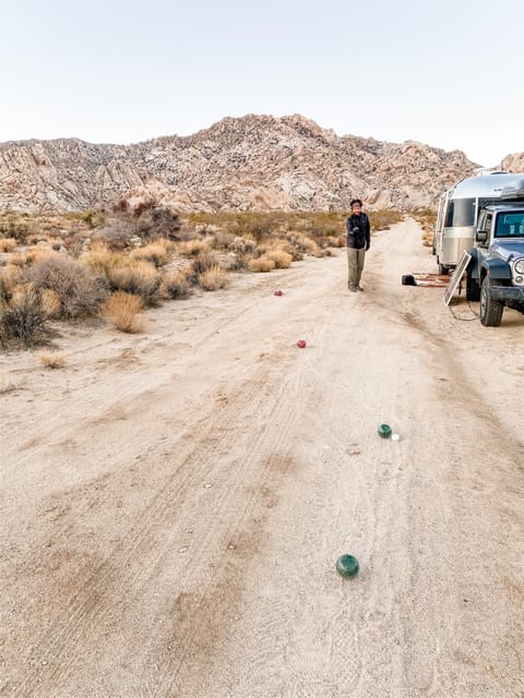 Bocce can be played almost anywhere that Besie can go. We've loaded a set into the back of the rig for your enjoyment.