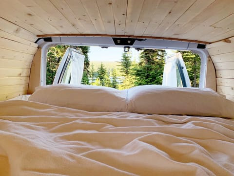 Mountain Van w/ Large Bed Camper in Milwaukie
