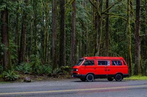 1989 VW Westfalia - Automatic (For 4) Campervan in New Westminster