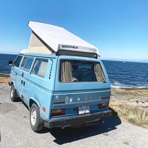 Dewberry - 1981 Volkswagen Westfalia Campervan in Burnaby