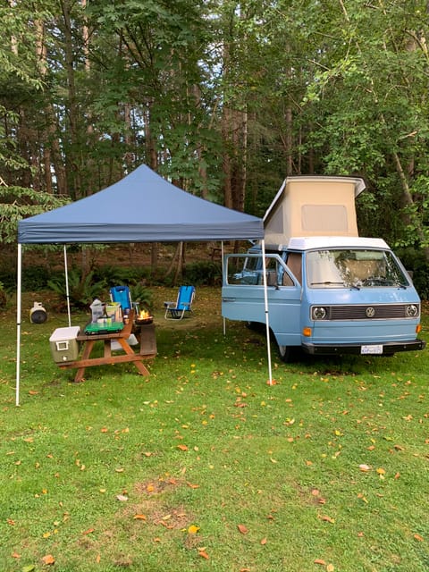 Dewberry - 1981 Volkswagen Westfalia Campervan in Burnaby