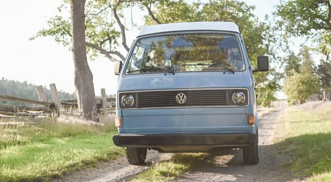 Dewberry - 1981 Volkswagen Westfalia Campervan in Burnaby