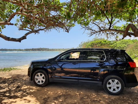 GMC Honeylane Kailani Drivable vehicle in Wailua