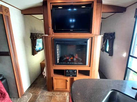 TV and Fireplace in Main Cabin