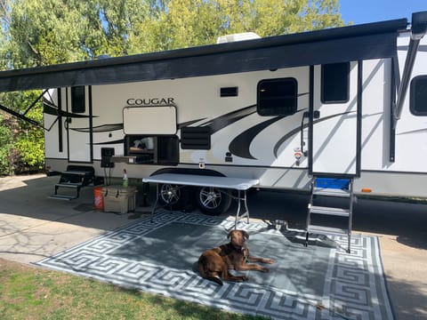 2021 Keystone Cougar Half-Ton Towable trailer in Bellflower