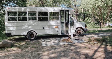 Our first time using the bus at a WI campground. The exterior rug is included in the rental and we are pet friendly! 