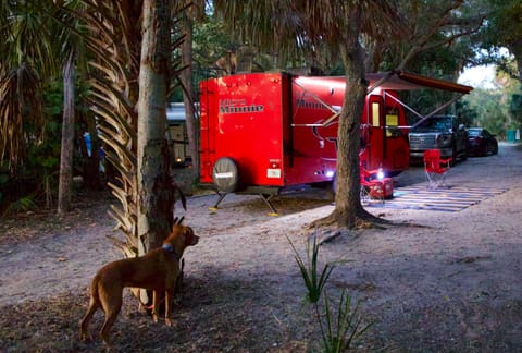 Red Rover- Winnebago Micro Minnie BH Towable trailer in Zephyrhills