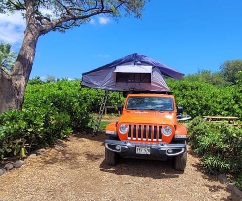 2019 Jeep Wrangler Fahrzeug in Kahului
