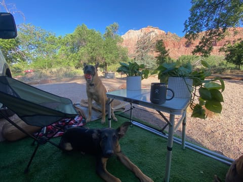 Zion, us sitting outside with the table, chairs and turf