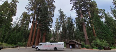 Outdoor Adventure Skoolie! RV in Provo