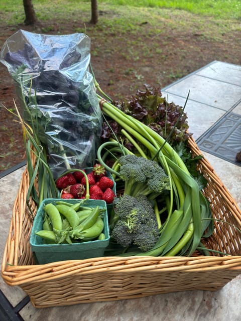 Example of the Seasonal Veggies Basket we offer as an add-on