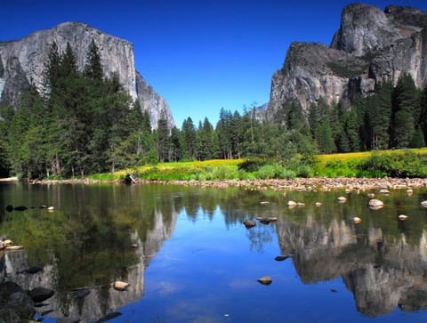 Find yourself exploring Yosemite