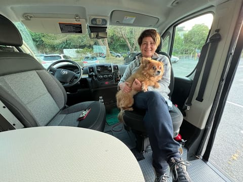  Drivable vehicle in San Francisco Bay Area