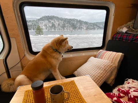 Pet-friendly, adventure-ready for everyone.