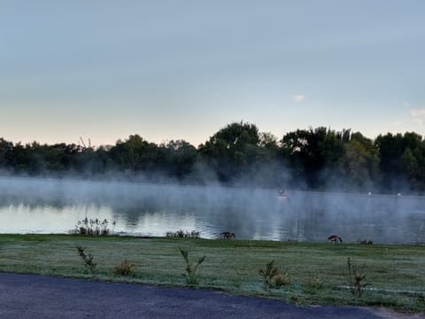 Foggy lake in Athens, TX. 