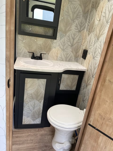 Bath vanity:  mirror is above sink, 
shower on the left, ceramic/foot flush toilet is bottom right.