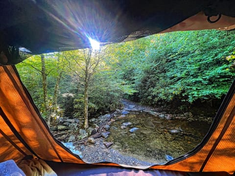 Overlander 2020 Toyota Tacoma Campervan in Mills River