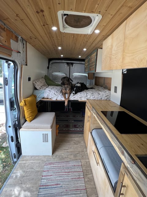 2019 Ford Transit CamperVan - Nov. Discount Campervan in Boulder