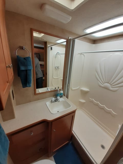 2008 Winnebago Access 31' Drivable vehicle in Edmonton