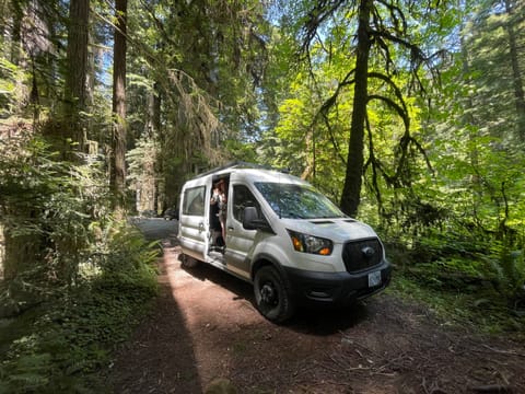 Redwood National Park 
