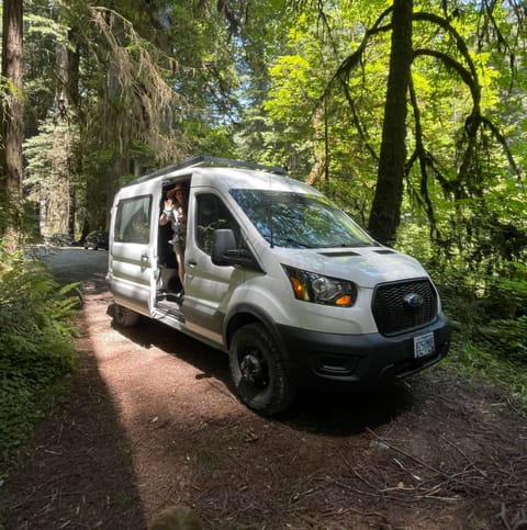 Van in Northern California Red Woods.